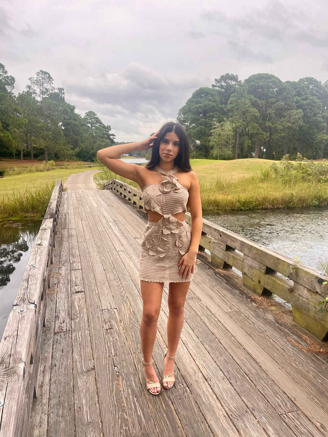Rosette Crochet Cutout Mini Dress 
